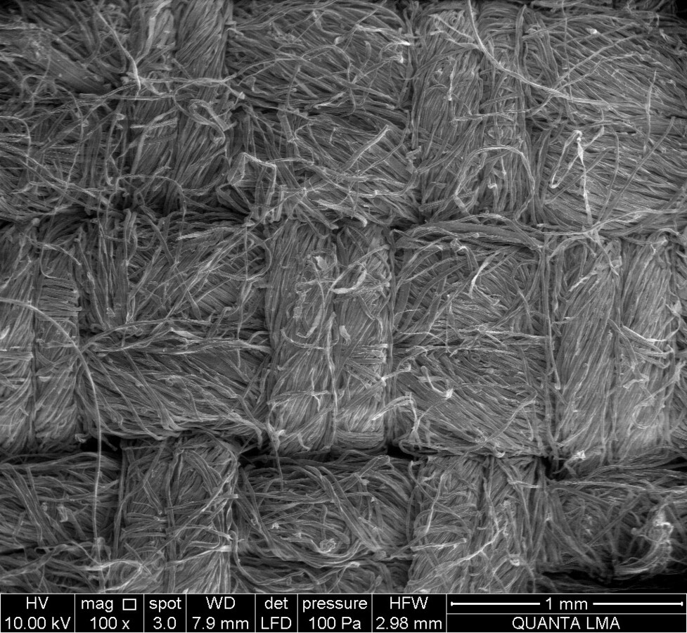 Micrograph of hemp and cotton material structure