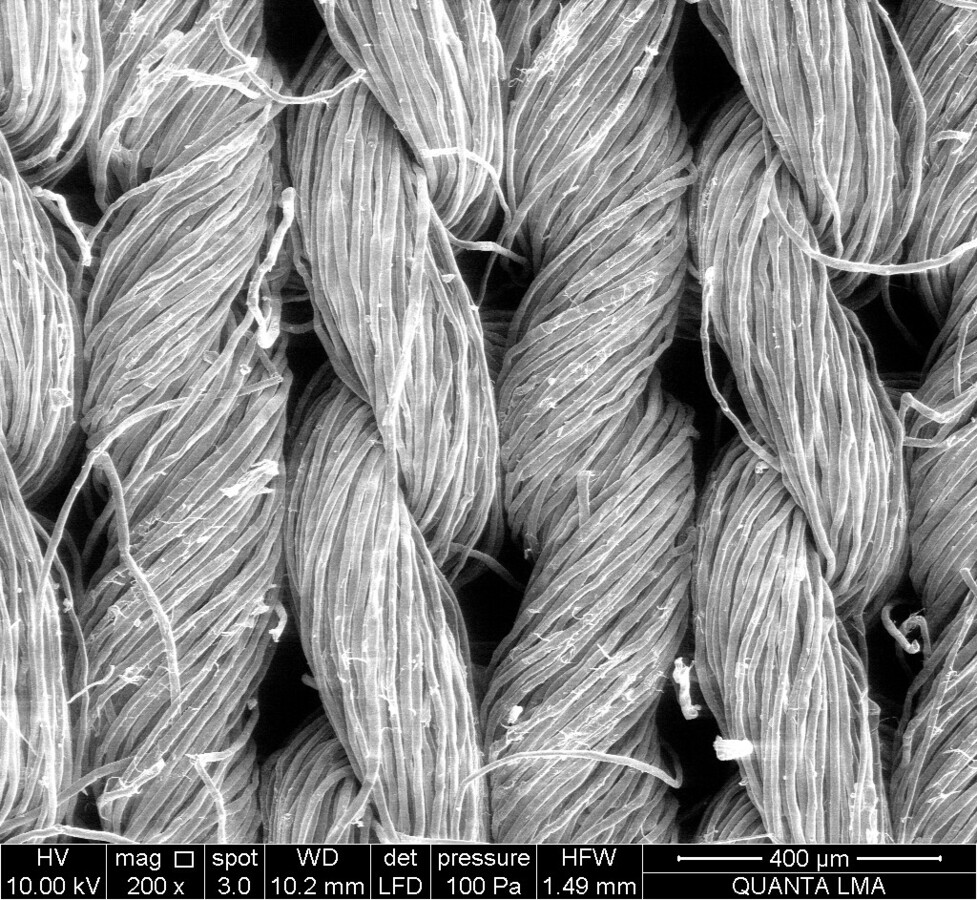 Micrograph of seaweed-based material structure