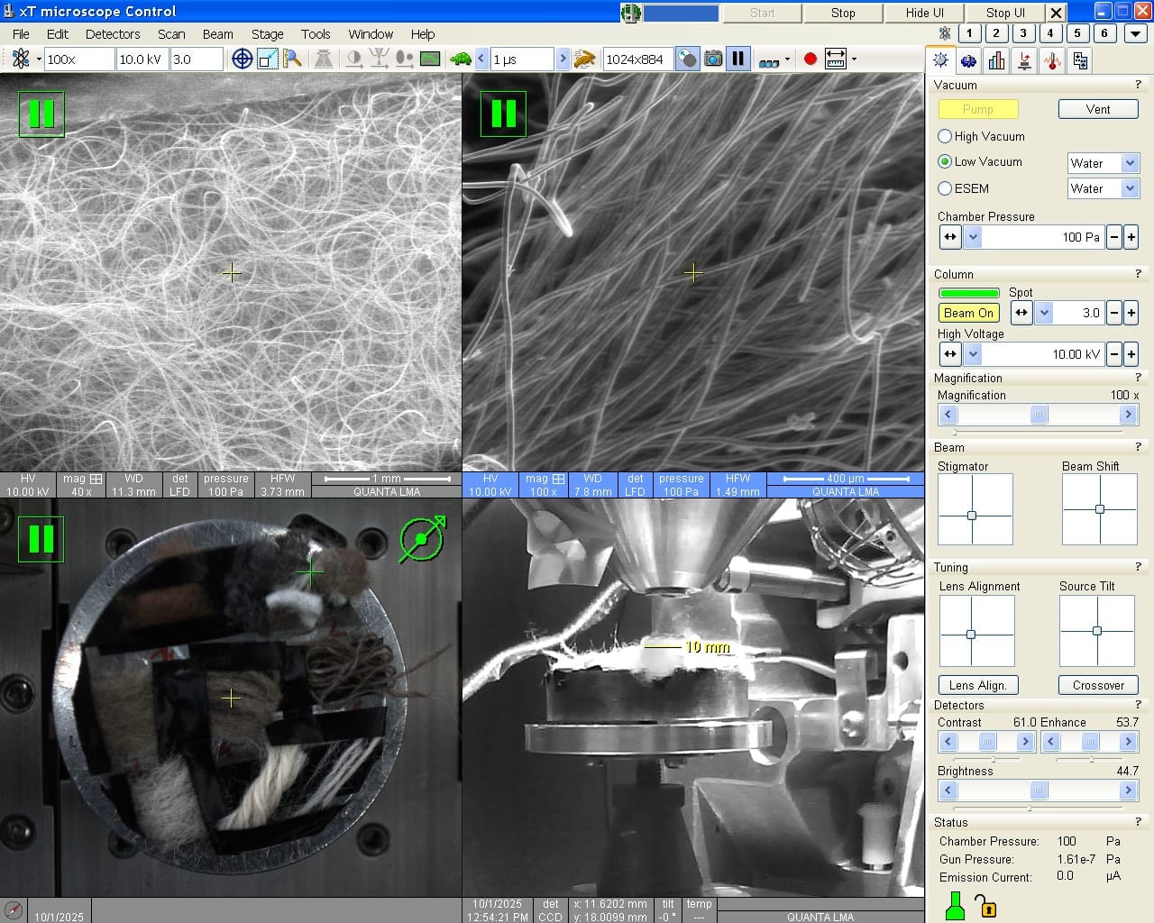SEM microscope