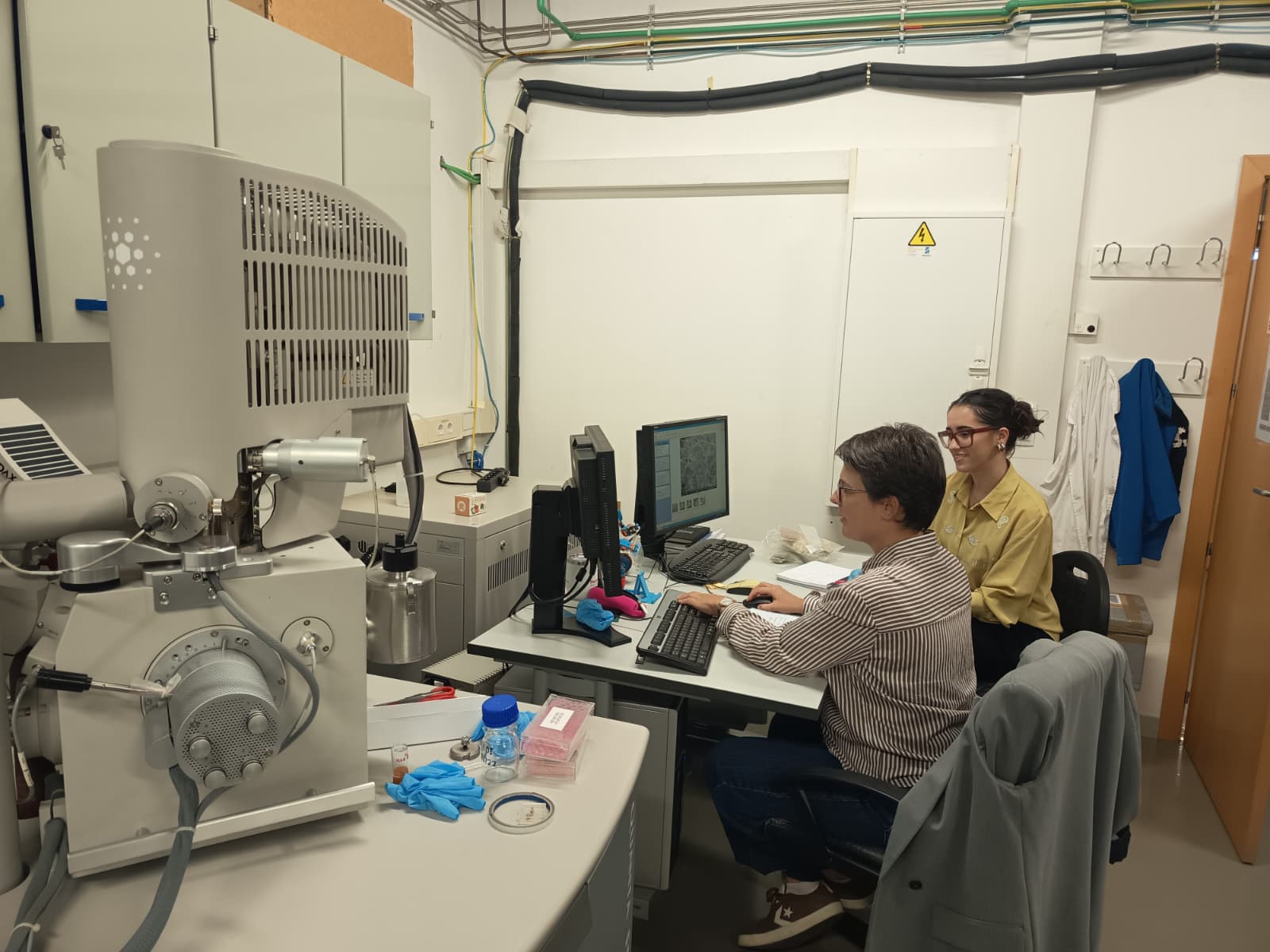 Exploring Wool at the Micro Scale: Innovation Through SEM Imaging