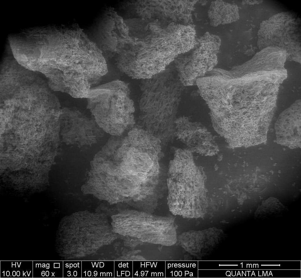 SEM image of the orange waste used to create the material