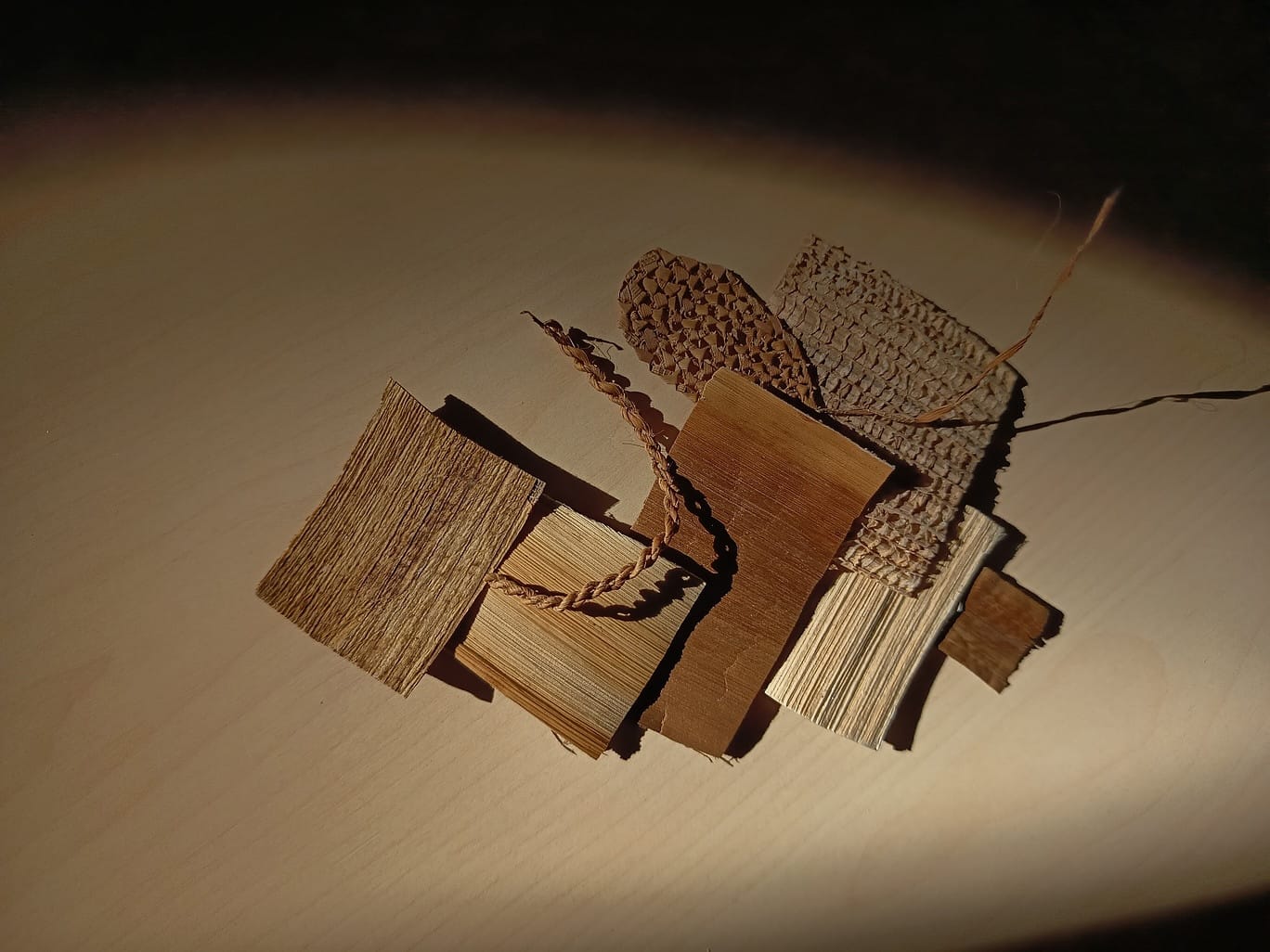 Transforming Banana Production Waste