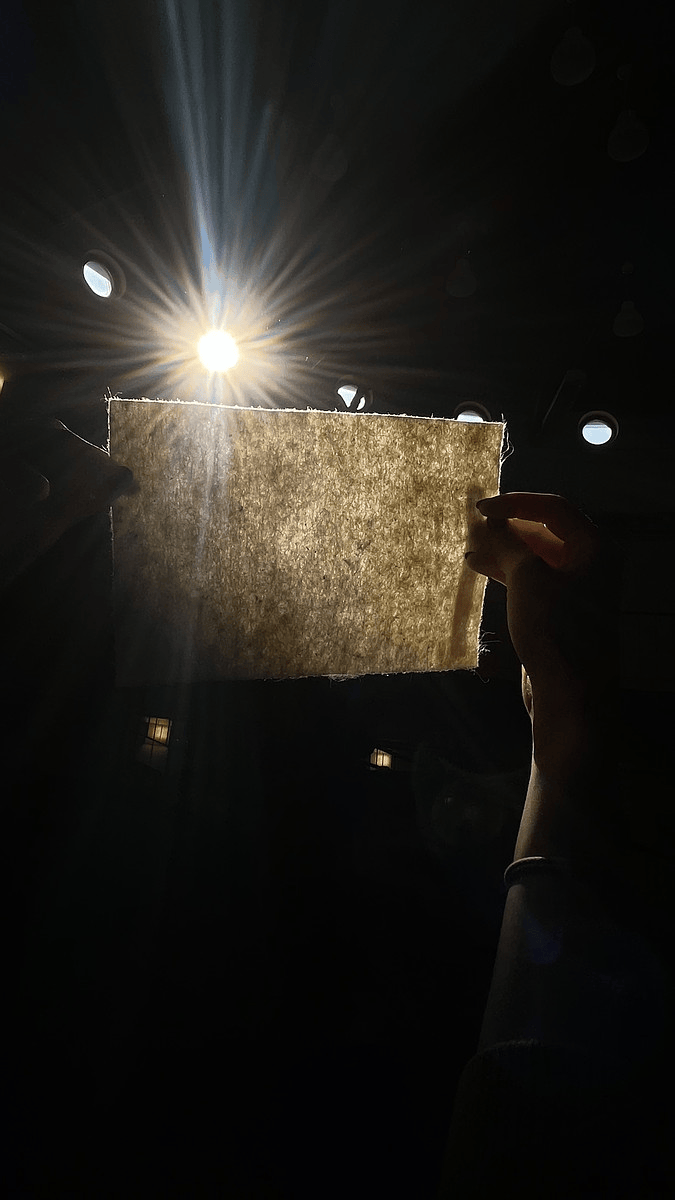 Pineapple leaf fiber samples from Hiblatech