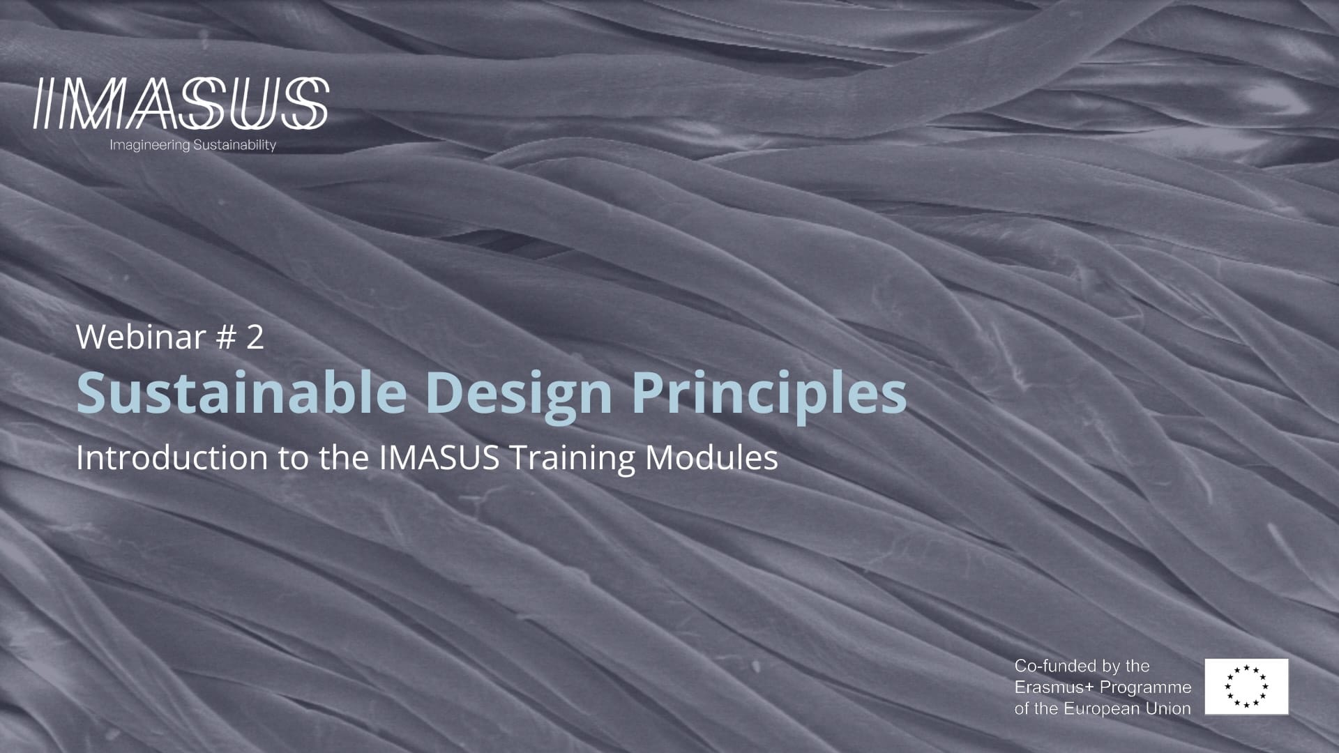 Webinar #2: Sustainable Design Principles and the IMASUS Training Modules