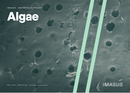 Algae postcard preview