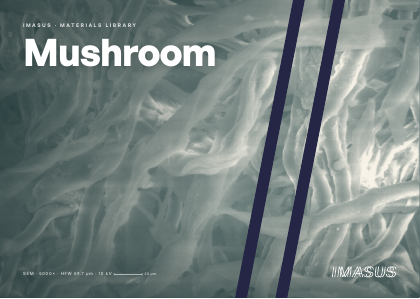 Mushroom postcard preview