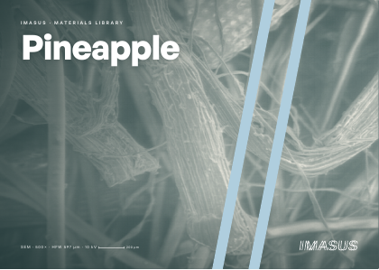 Pineapple postcard preview