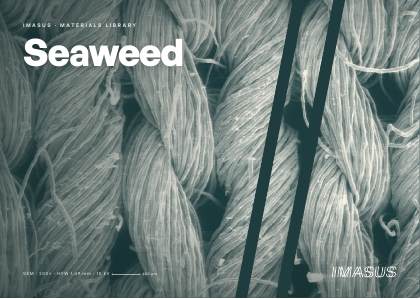 Seaweed postcard preview